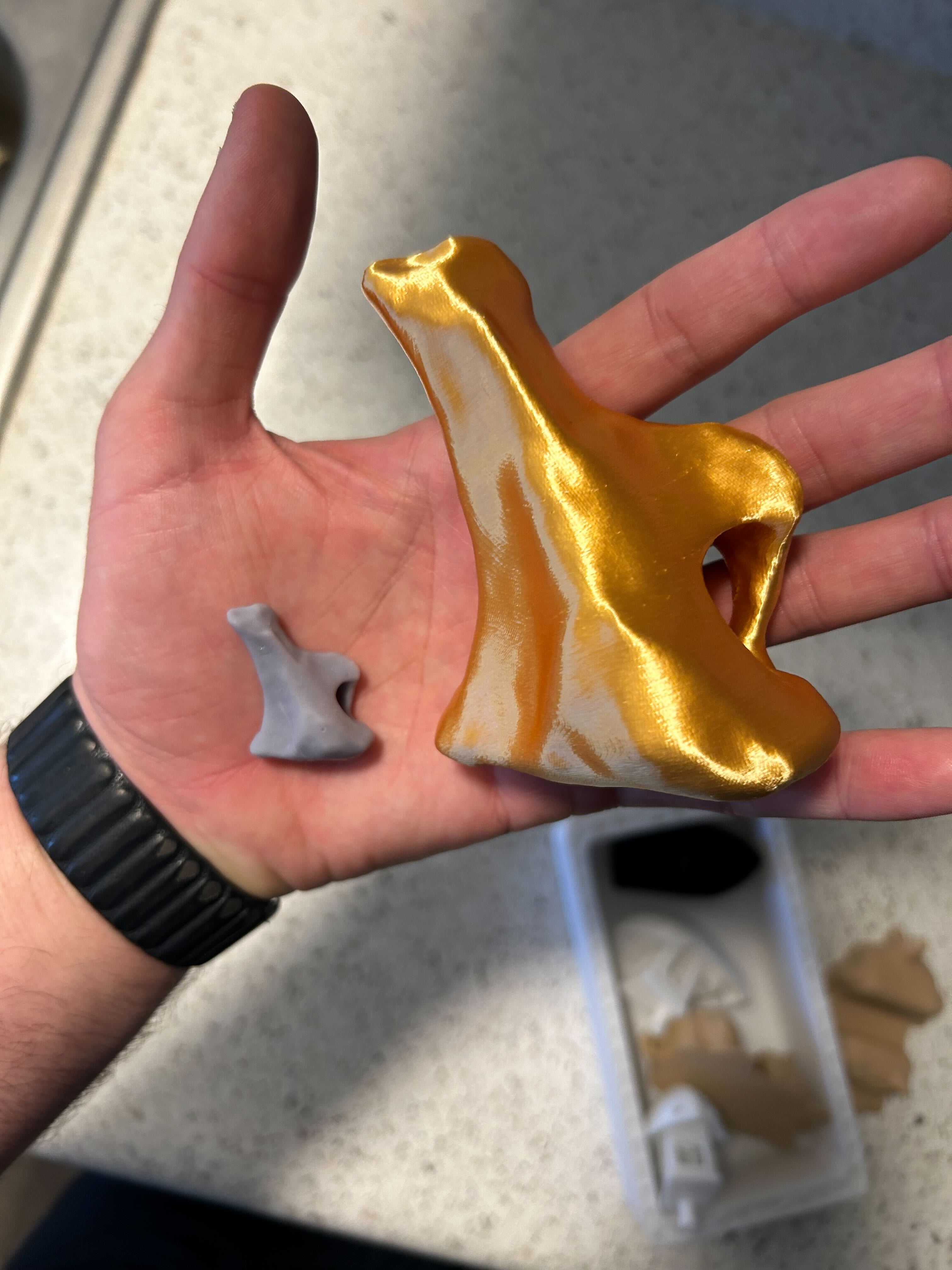 A 3d scan of a fossil on the computer screen