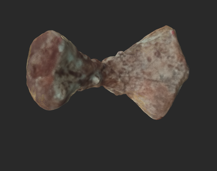 A 3d scan of a fossil on the computer screen