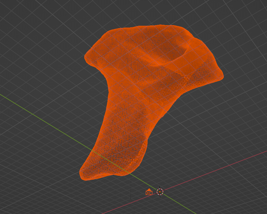 A 3d scan of a fossil on the computer screen