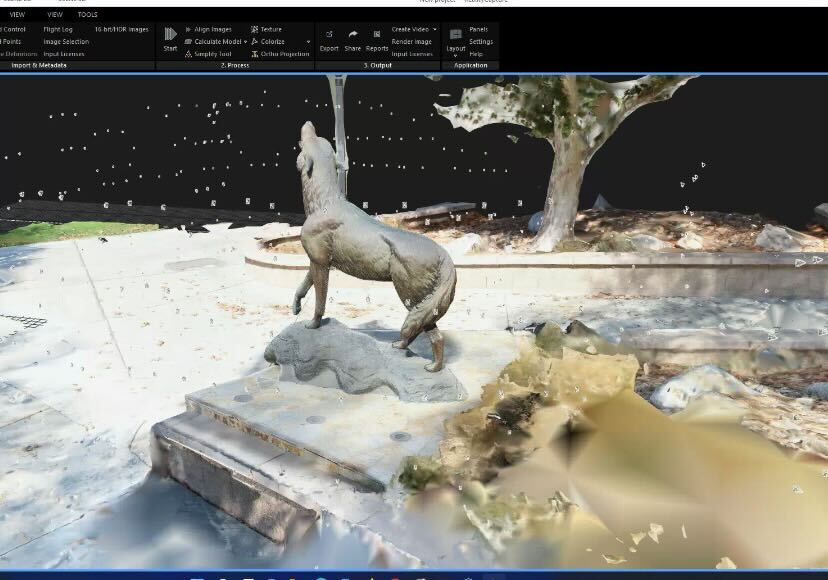 The WildSong coyote statue uploaded into Reality Capture.