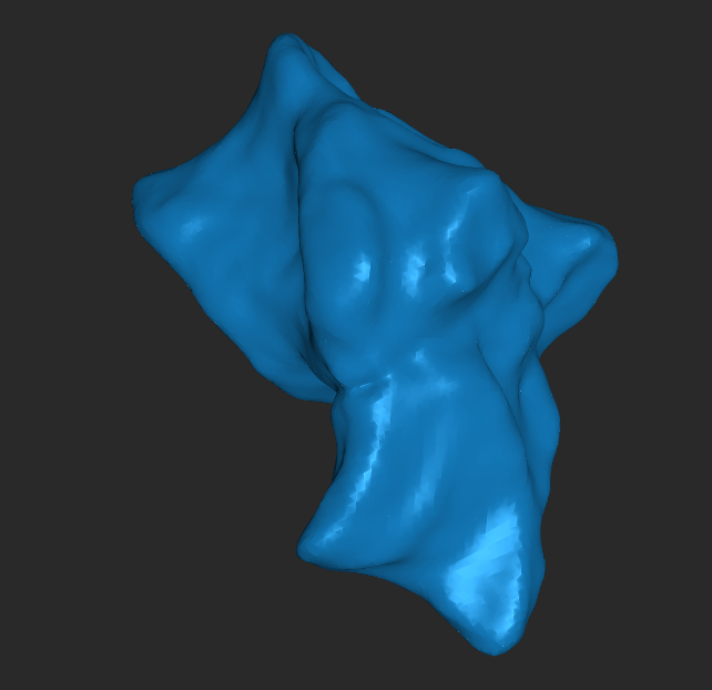 A 3d scan of a fossil on the computer screen