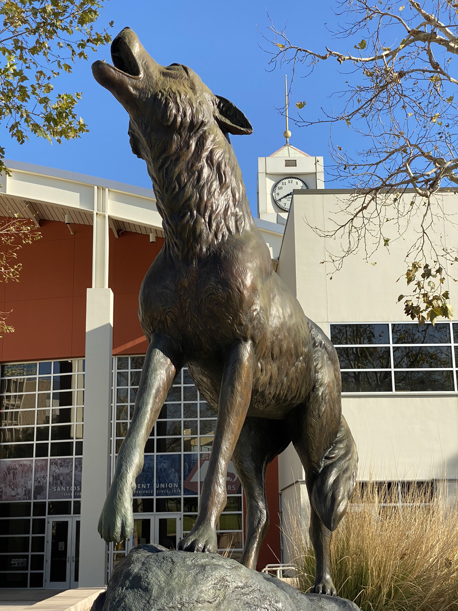 The WildSong coyote statue.